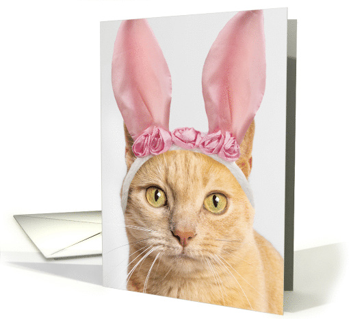 Happy Easter For Anyone Orange Tabby Cat in Bunny Ears Humor card
