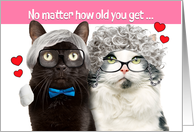 Happy Anniversary For Both Funny Older Cat Couple Humor card