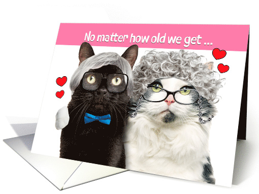Happy Valentines Day For Significant Other Funny Cat Couple Humor card