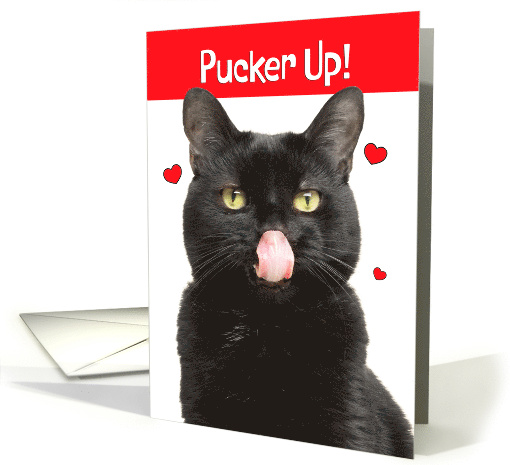 Happy Valentines Pucker Up Cat With Tongue Out For Kisses Humor card