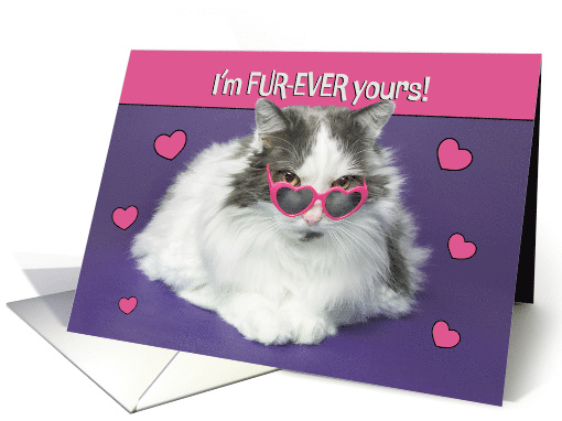 Happy Valentines Day For Anyone Cute Cat In Heart Shaped... (1898054)