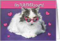 Happy Valentines Day For Anyone Cute Cat In Heart Shaped Sunglasses card