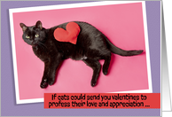Happy Valentines Day For Anyone Funny Cat Humor card