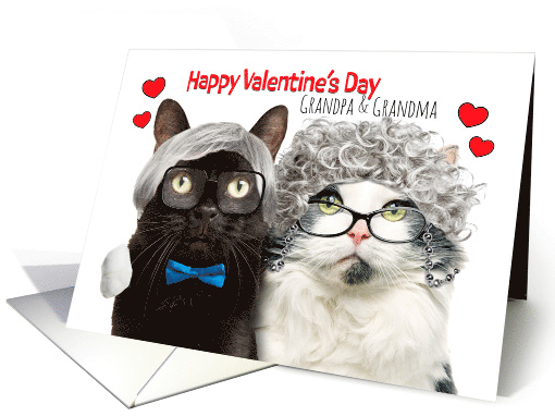 Happy Valentines Day Grandma and Grandpa Cat Couple Humor card