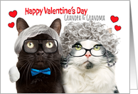 Happy Valentines Day Grandma and Grandpa Cat Couple Humor card