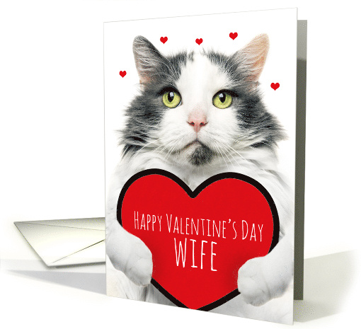 Happy Valentines Day Wife Cute Cat Holding Big Heart Humor card