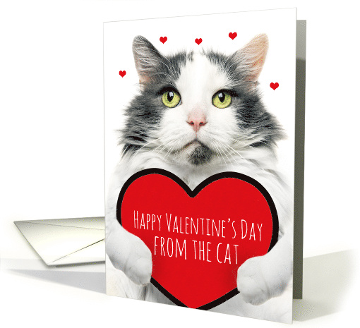 Happy Valentines Day From The Cat Cute Cat Holding Big... (1898702)