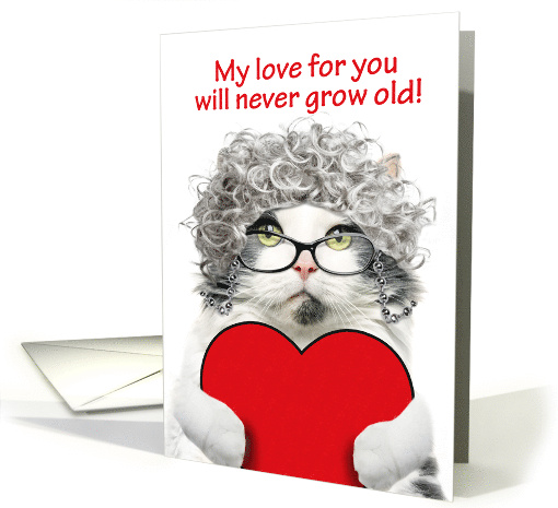 Happy Valentines Day For Anyone Senior Cat Love Will... (1899102)
