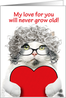 Happy Valentines Day For Anyone Senior Cat Love Will Never Grow Old card