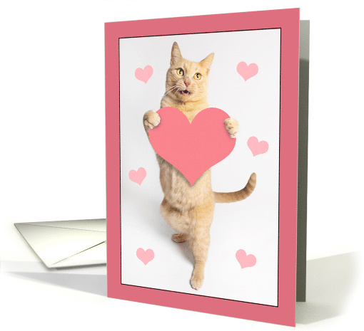 Happy Valentines Day For Anyone Cute Orange Tabby Cat... (1899772)