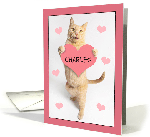 Happy Valentines Day Custom Name Cute Orange Tabby Cat... (1899774)