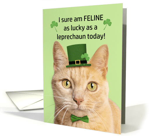 Happy St Patricks Day Friend Cute Cat in Leprechaun Hat Humor card