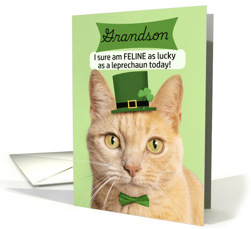 Happy St Patricks Day Grandson Cat in Leprechaun Hat Humor card