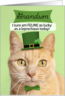 Happy St Patricks Day Grandson Cat in Leprechaun Hat Humor card