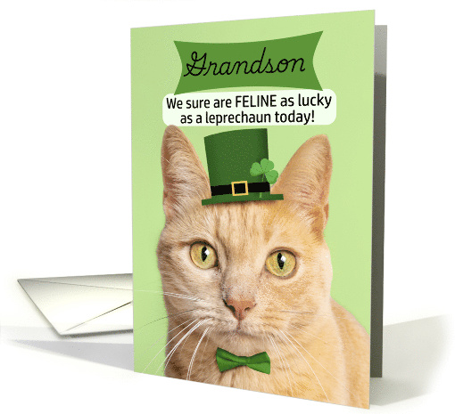 Happy St Patricks Day Grandson From Both Cat in... (1900510)