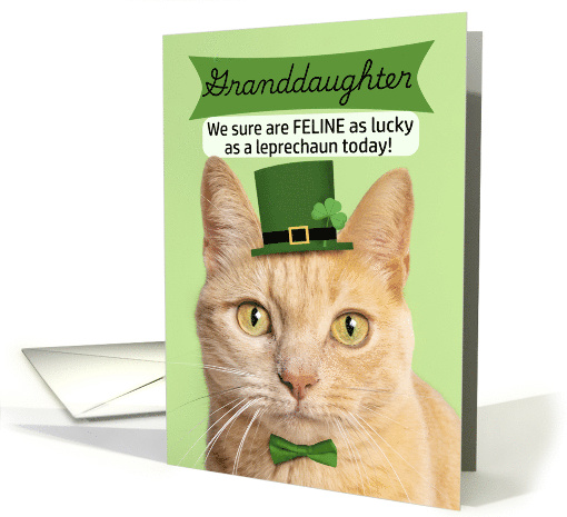 Happy St Patricks Day Granddaughter Cat in Leprechaun Hat Humor card