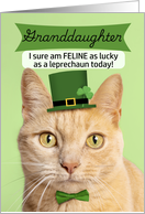 Happy St Patricks Day Granddaughter Cat in Leprechaun Hat Humor card