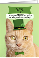 Happy St Patricks Day Wife Cat in Leprechaun Hat Humor card