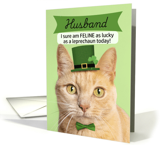 Happy St Patricks Day Husband Cat in Leprechaun Hat Humor card