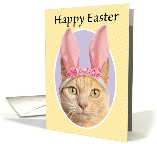 Happy Easter For Anyone Cute Orange Tabby Cat in Bunny Ears Humor card