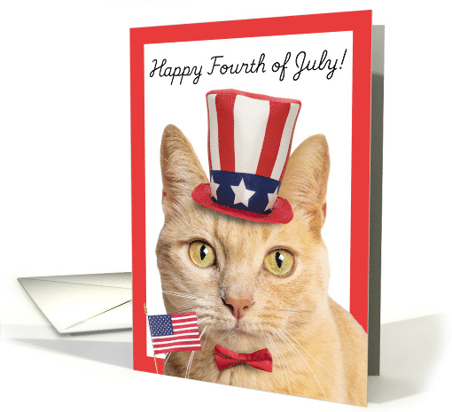 Happy Fourth of July For Anyone Cute Orange Tabby Cat Humor card