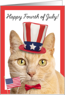 Happy Fourth of July For Anyone Cute Orange Tabby Cat Humor card