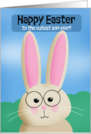 Happy Easter Son Cute Bunny Rabbit in Glasses Illustration card