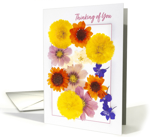 Thinking of You For Anyone Dried Pressed Colorful Flowers card