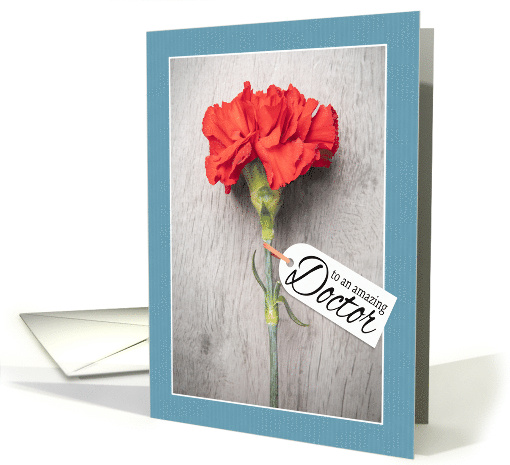 Happy Doctors Day Single Red Carnation Flower card (1906150)
