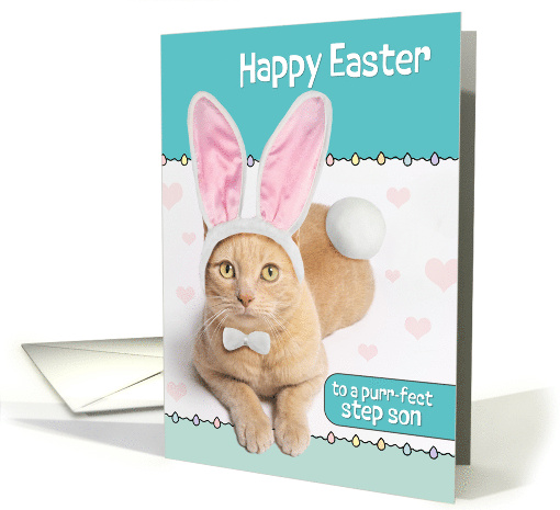 Happy Easter Step Son Cute Ginger Cat in Bunny Costume Humor card