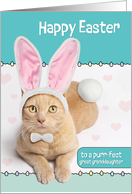 Happy Easter Great Granddaughter Ginger Cat in Bunny Costume Humor card