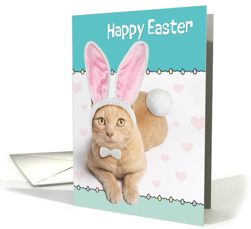 Happy Easter For Anyone Cute Ginger Cat in Bunny Costume Humor card