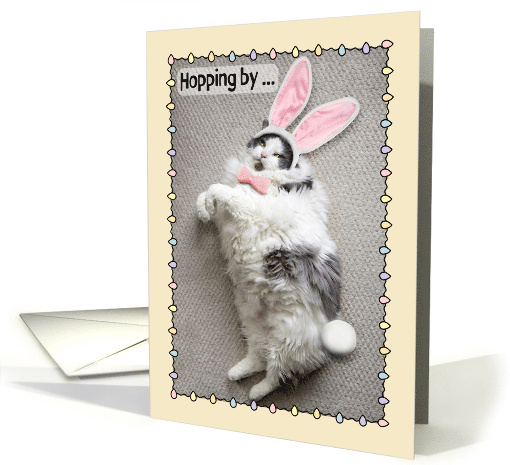 Happy Easter For Anyone Funny Fat Cat in Bunny Ears Humor card