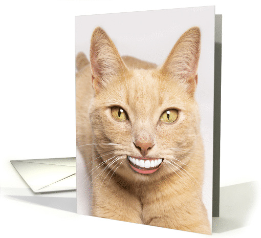 Sending a Smile Funny Cat with Human Teeth Encouragement... (1914868)