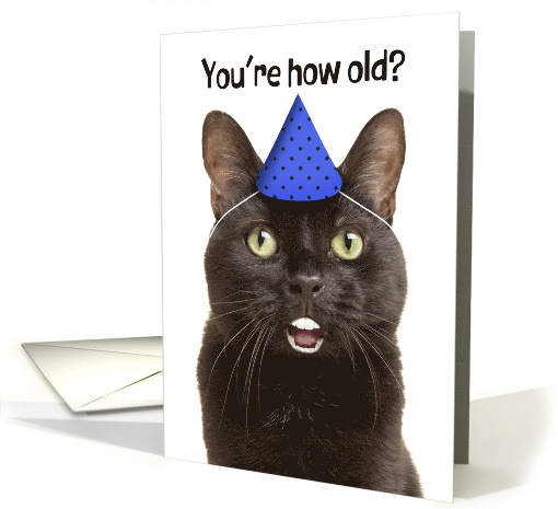 Happy Birthday For Anyone Shocked Cat with Human Teeth in... (1914888)