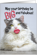 Happy Birthday For Anyone Fabulous Cat With Big Human Lips Humor card
