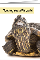 Sending a Smile Cheer Funny Turtle With Big Human Teeth Humor card