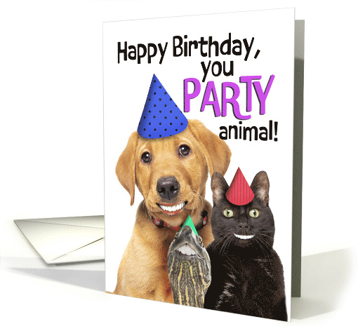 Happy Birthday For Anyone Party Animal Funny Pets With... (1916732)