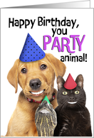 Happy Birthday For Anyone Party Animal Funny Pets With Human Smiles card