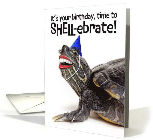 Happy Birthday For Anyone Funny Turtle With Smile and... (1917238)