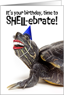 Happy Birthday For Anyone Funny Turtle With Smile and Party Hat Humor card
