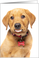 Thinking of You Makes Me Smile Puppy With Human Teeth Custom Name card
