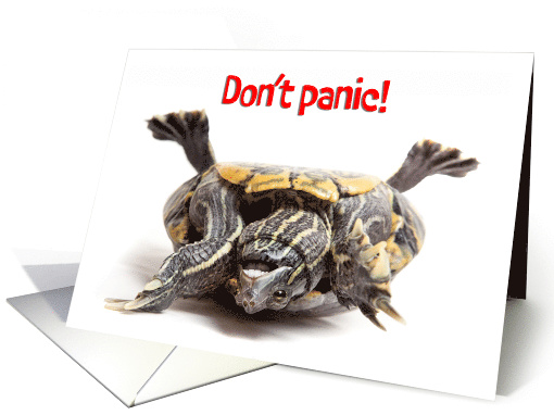 Turtle Stuck on Back Here For You Encouragement For Anyone Humor card