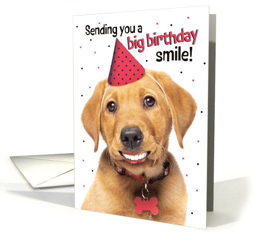 Happy Birthday Funny Red Fox Labrador Puppy With Human... (1917580)