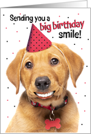 Happy Birthday Funny Red Fox Labrador Puppy With Human Smile Humor card
