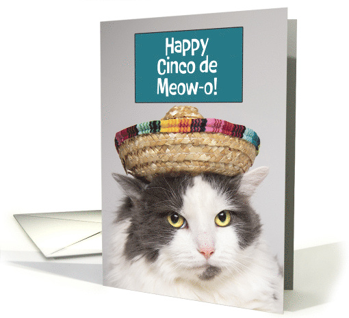 Happy Cinco De Mayo Funny Cat in Sombrero Humor card (1917790)