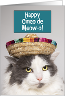 Happy Cinco De Mayo Funny Cat in Sombrero Humor card