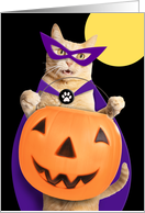 Happy Halloween Cute Orange Tabby Ginger Cat Dressed as Superhero card