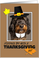 Happy Thanksgiving For Anyone Bernedoodle Dog in Pilgrim Hat Humor card