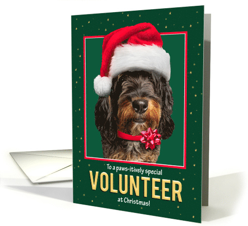 Merry Christmas Volunteer Bernedoodle Dog in Santa Hat on Green card